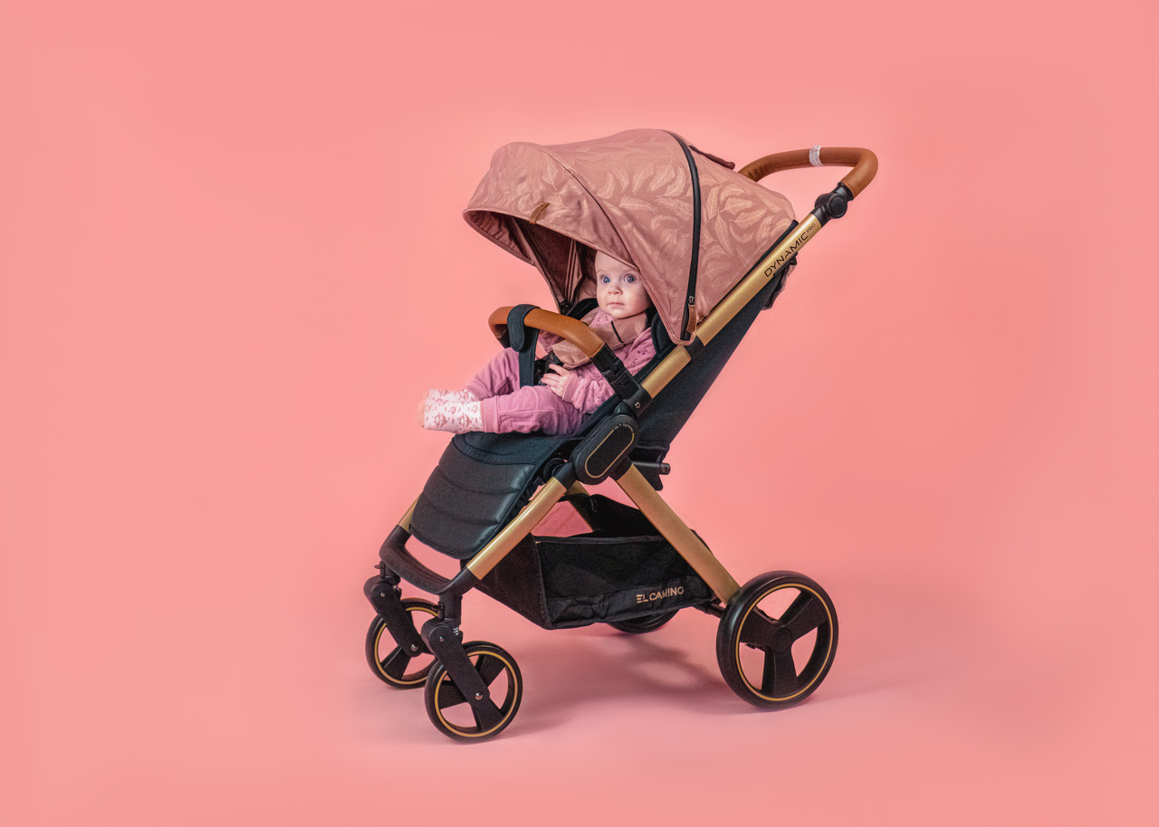 Коляска дитяча ME 1053G-2 DYNAMIC PRO Special Pink