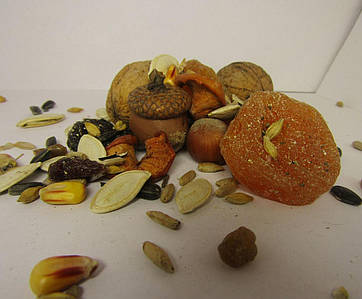 Корм для белок