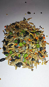 Корм для парковых голубей