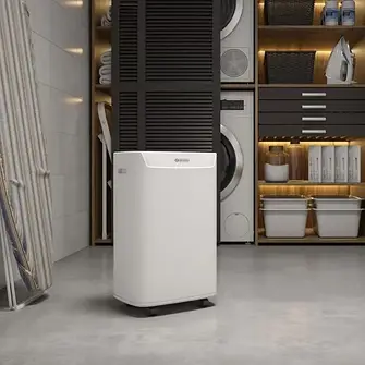 Осушувачі повітря Olimpia Splendid