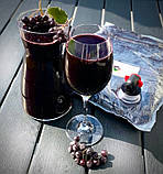 Сік чорної смородини 100% - NFC пресований - 3л, фото 2