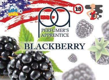 Blackberry ароматизатор TPA (Ожина)