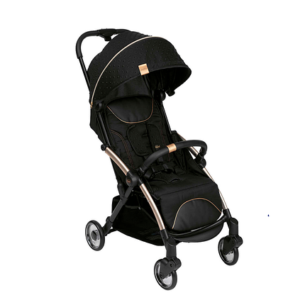 Прогулянкова коляска Chicco Goody Plus, фото 1