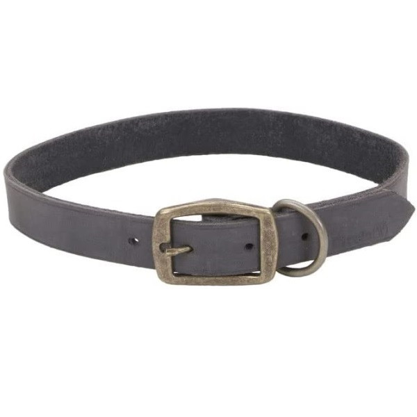 Coastal Rustic КОСТАЛ РУСТИК шкіряний нашийник для собак, 2.5х55см, фото 1