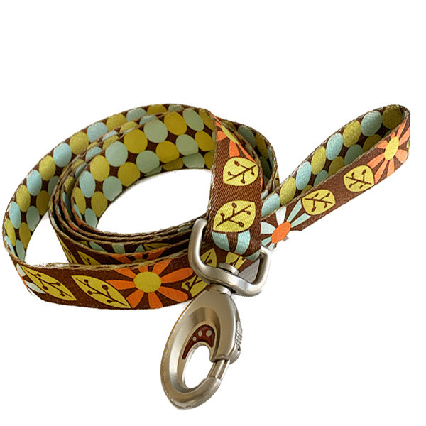 Coastal Sublime КОСТАЛ СУБЛІМ повідець для собак, 2.5 смХ1.8м, фото 1