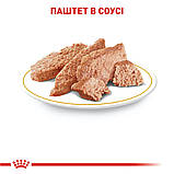 Royal Canin DOG Pouch Yorkshire Terrier Adult для собак породи йоркширський тер'єр 85г, фото 3