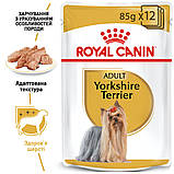 Royal Canin DOG Pouch Yorkshire Terrier Adult для собак породи йоркширський тер'єр 85г, фото 4