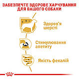 Royal Canin DOG Pouch Yorkshire Terrier Adult для собак породи йоркширський тер'єр 85г, фото 5