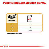 Royal Canin DOG Pouch Yorkshire Terrier Adult для собак породи йоркширський тер'єр 85г, фото 6