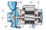 Відцентровий насос HFm 5B Pedrollo, фото 4