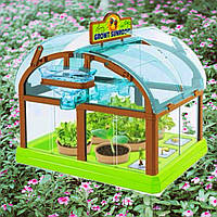 Набір для дослідів домашня теплиця Home made plant Ігровий набір теплиця для вирощування рослин із насінням