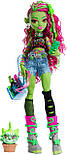 УЦІНКА Лялька Монстер Хай Венера МакФлайтрап Monster High Venus McFlytrap Doll Faboolous Friends HRP81 Mattel Оригінал, фото 2