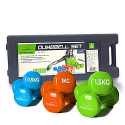 Набір гантелей в кейсі 6 кг. PowerPlay 4103 Fitness Dumbells (2шт.*0,5кг. 2шт.*1кг. 2шт.*1,5кг.)