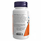 Carnosine 500mg - 100 vcaps, фото 4
