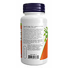 Ginger Root Extract 250mg - 90 vcaps, фото 4