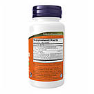 Aloe Vera 10000 & Probiotics - 60 vcaps, фото 3