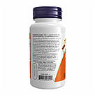 Aloe Vera 10000 & Probiotics - 60 vcaps, фото 4