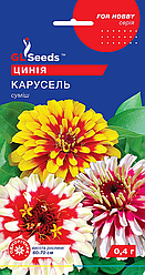 Насіння циній (майорів)