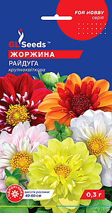 Жоржина Веселка 0,3г
