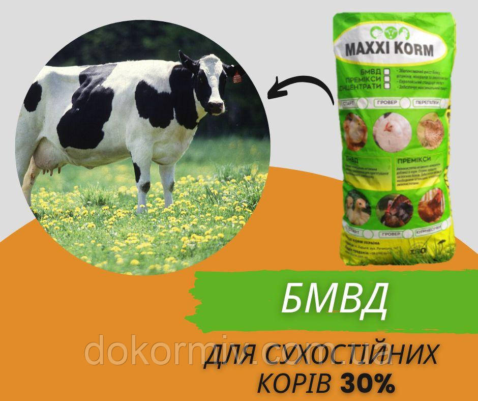БМВД для сухостійних корів