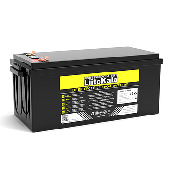 Акумулятор LiitoKala 48V 100Ah ( LCD )