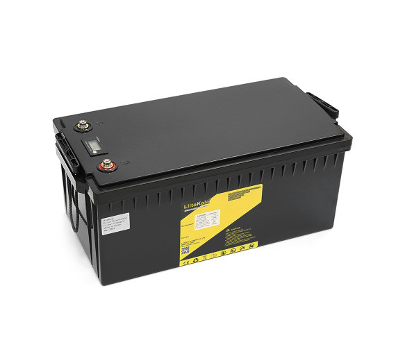 Акумулятор LiitoKala 24V 200Ah ( LCD ), фото 1
