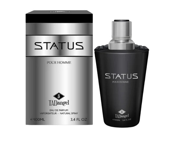 Парфумована вода Tad Angel Status Pour Homme 100 мл (6290171050216)
