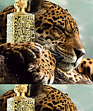 Salvador Dali Dali Wild Туалетная вода женская, 1.6 мл (пробник), фото 3