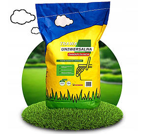 Насіння газонної трави Універсальна 5 кг (Польша) ORIG30