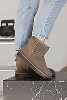 Зимові Жіночі Черевики UGG Classic Mini Brown / УГГ Класик Міні Коричневі, фото 3