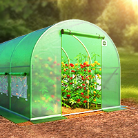 Дача, сад і город