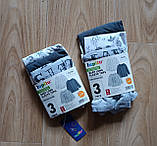 Кофти реглани лонгсліви Lupilu на хлопчика малюка р.74-80 - 6-12 місяців, 35683, набір 3 шт., фото 2