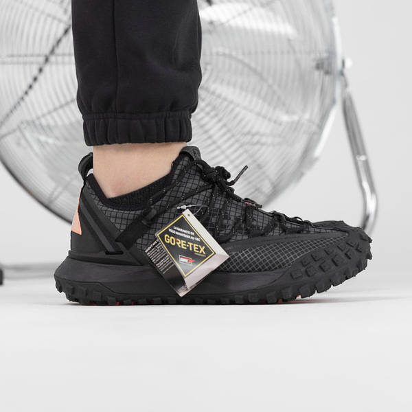Nike ACG Mountain Fly Low Gore Tex Grey Krosonavtik 2381341189