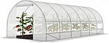 Теплиця з армованою плівкою 6х3 м FunFit Garden (1463), фото 8