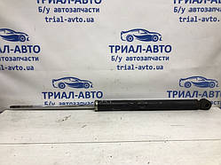 Амортизатор задній Suzuki Sx4 1 1.6 БЕНЗИН M16A 2006 (б/в)