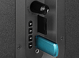 Домашня Акустична система Sven SPS-710 40W 2.0, фото 8