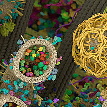 Плакат "Будова клітини організму, мембрана, цитоплазма, ядро, органоїди", 60×43см, фото 2