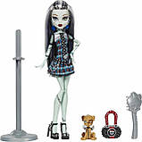 Monster High Frankie Stein HGC31 Лялька Монстр Хай Френкі Штейн Репродукція, фото 3