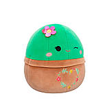 М'яка іграшка Squishmallows – Друзі Кактуси (2 шт, 19 cm), фото 9