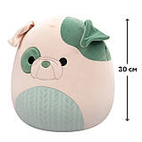 М'яка іграшка Squishmallows – Бульдог Августін (30 cm), фото 3