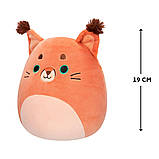 М'яка іграшка Squishmallows – Кіт Ферраз (19 cm), фото 3
