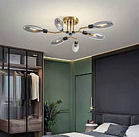 Стельова красива люстра з плафонами YG 8003-6B