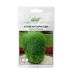 Кохія кипарисова 1г