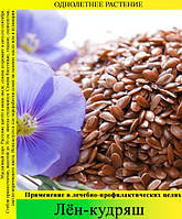 Насіння Льон Кудряш, 1 кг