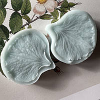 Вайнер пелюстки гортензії