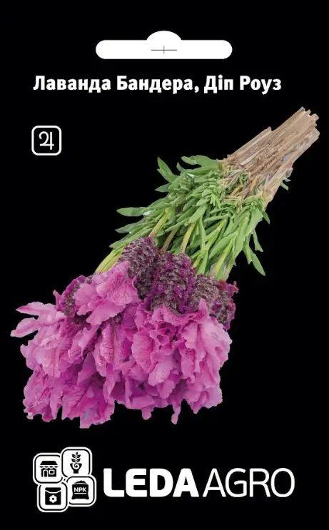 ТМ LEDAAGRO Лаванда Бандера Діп роуз 5шт