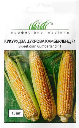 Насіння Кукурудзи Камберленд F1 15шт ТМ Професійне насіння, фото 1