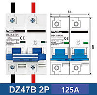 Автоматический выключатель постоянного напряжения Taixi TOMZN DZ47-B125 125 Ампер (DZ47B-2P-B125A)