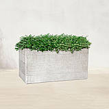 Кашпо Engard "Оттава", 59х30х31 см (GA68-1), фото 4