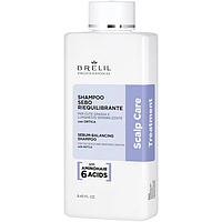 Шампунь себобалансуючий Brelil Sebum-Balancing Shampoo Scalp Care 250 мл